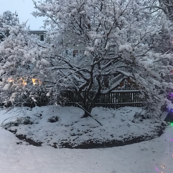 Meet your Posher, Krysten - Picture 1 of 1